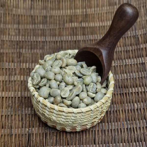 Small Farmer Collection | Green Bean