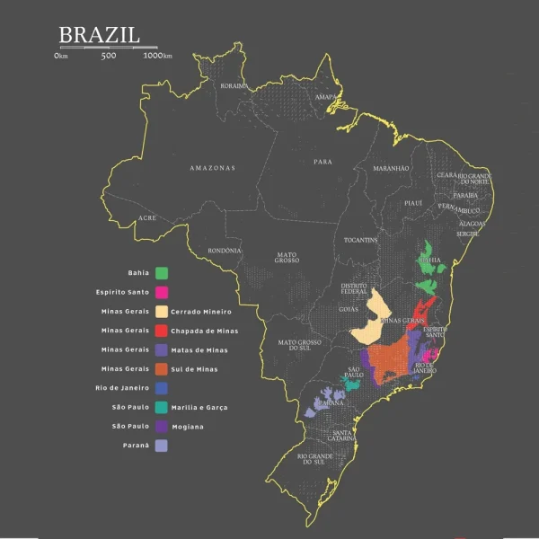 Brazil - Image 2