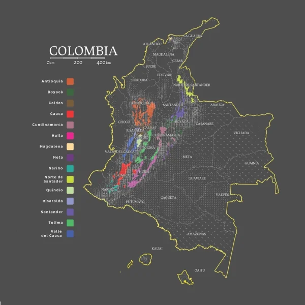 Colombia High Altitude | Organically Grown - Image 2