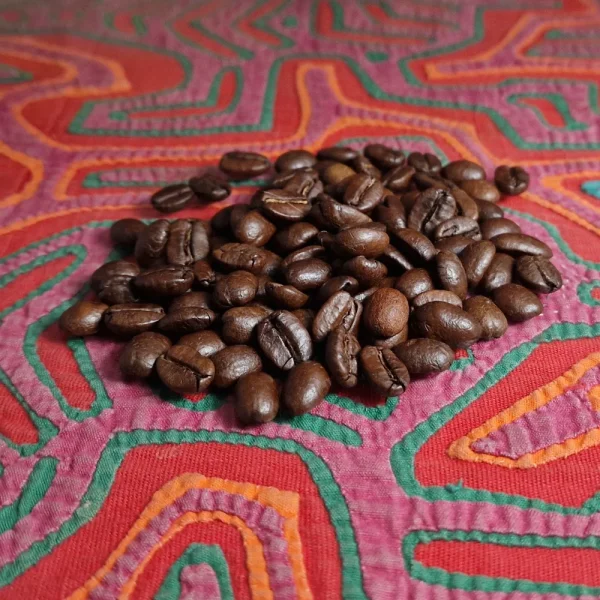 Colombia High Altitude | Organically Grown