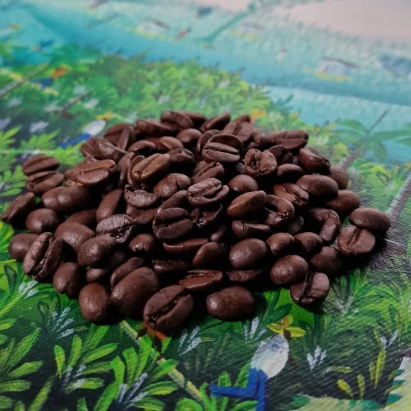 Guatemala | Huehuetenango