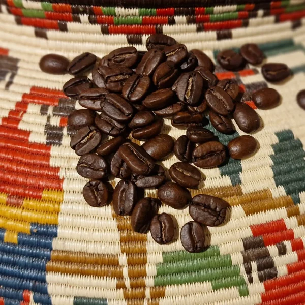 Panama | Caturra