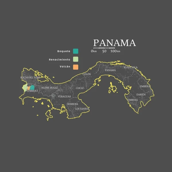Panama | Caturra - Image 2