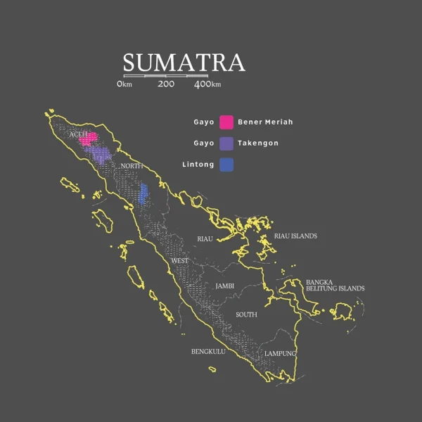 Sumatra | Mandheling - Image 2