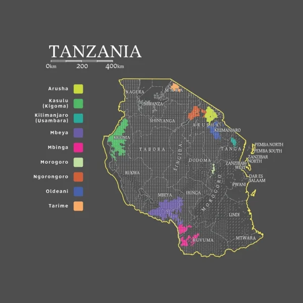 Tanzania | Peaberry Zanzibar - Image 2